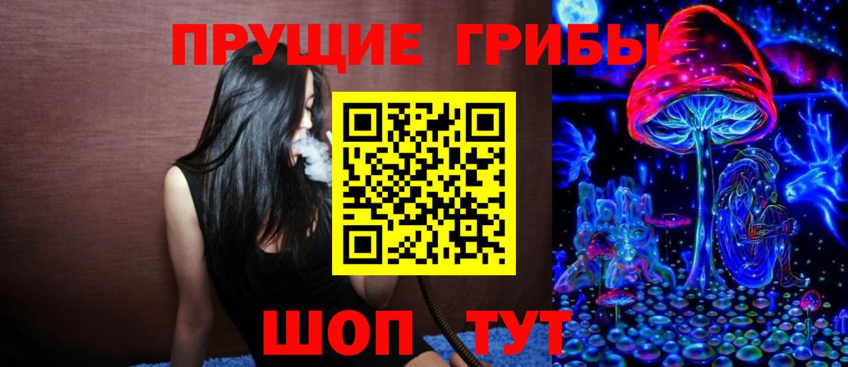 где купить наркоту  Вход с VPN  Михайловка  Псилоцибиновые грибы ЛСД  Псилоцибиновые грибы Cubensis 